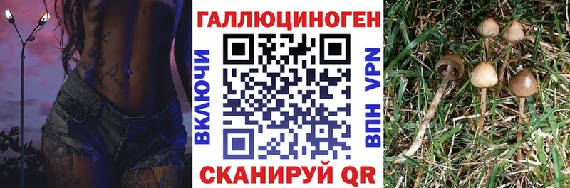 Псилоцибиновые грибы мухоморы  Шуя 